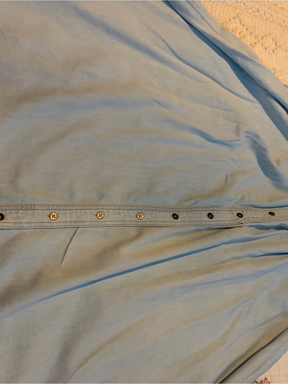 Pilcro and the Letterpress Pale Blue Button-Front Maxi Skirt